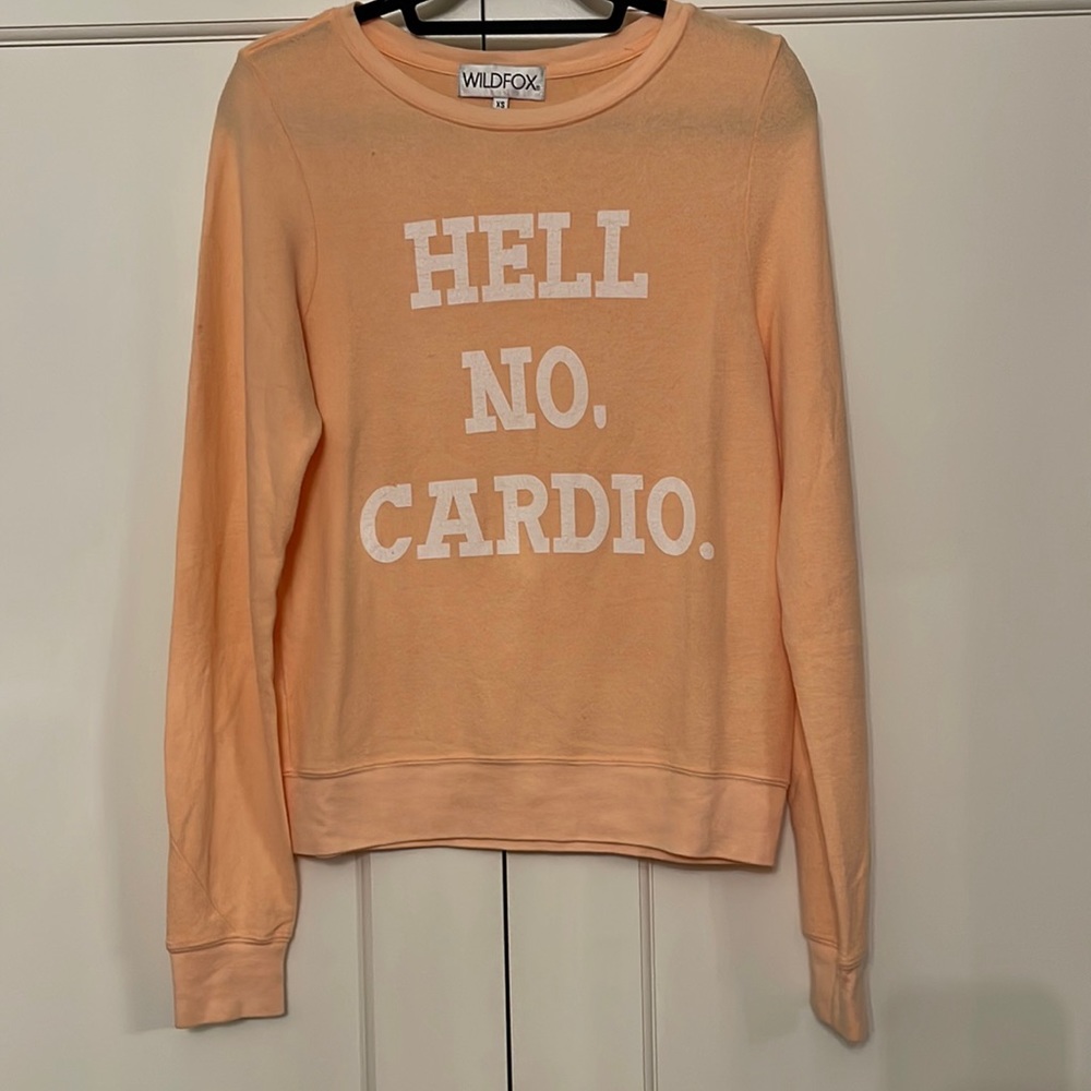 Wildfox sweatshirt